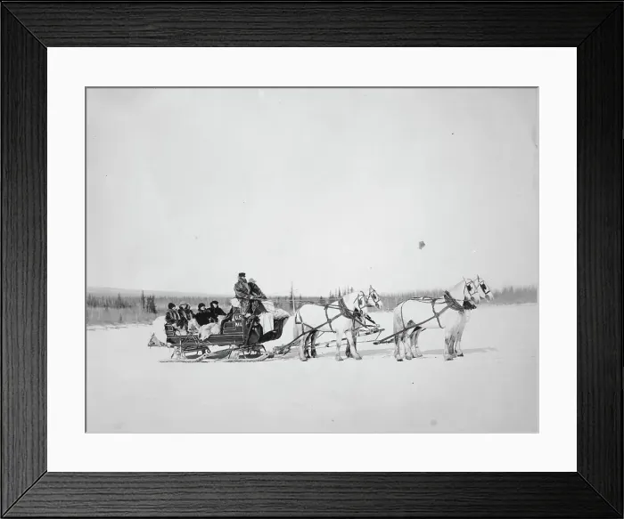 Framed Print : Horses pulling U.S. Mail sled, between c1900 and 1927. Creator: Unknown Framed Print : Horses pulling U.S. Mail sled, between c1900 and 1927. Creator: Unknown