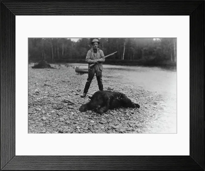 Framed Print : Hunter with bear which he killed, between c1900 and 1927. Creator: Unknown Framed Print : Hunter with bear which he killed, between c1900 and 1927. Creator: Unknown
