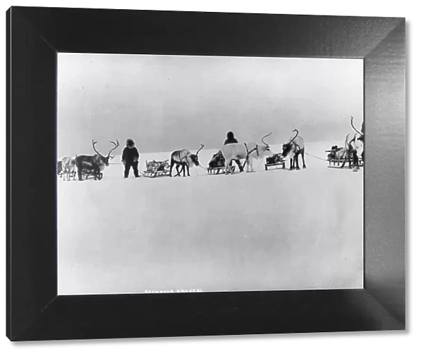 Reindeer, sleds and drivers, between c1900 and 1927. Creator: Unknown