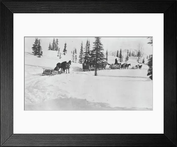 Framed Print : Transportation by horses and sleighs, 1921. Creator: Unknown Framed Print : Transportation by horses and sleighs, 1921. Creator: Unknown