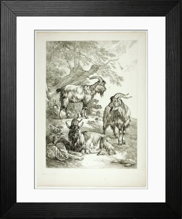 Framed Print : Plate Seventeen of 38 from Oeuvres de J. B. Huet, 1796–99. Creator: Jean Baptiste Marie Huet Framed Print : Plate Seventeen of 38 from Oeuvres de J. B. Huet, 1796–99. Creator: Jean Baptiste Marie Huet