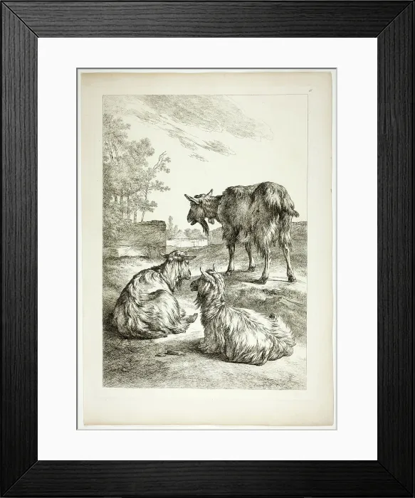 Framed Print : Plate Eighteen of 38 from Oeuvres de J. B. Huet, 1796–99. Creator: Jean Baptiste Marie Huet Framed Print : Plate Eighteen of 38 from Oeuvres de J. B. Huet, 1796–99. Creator: Jean Baptiste Marie Huet