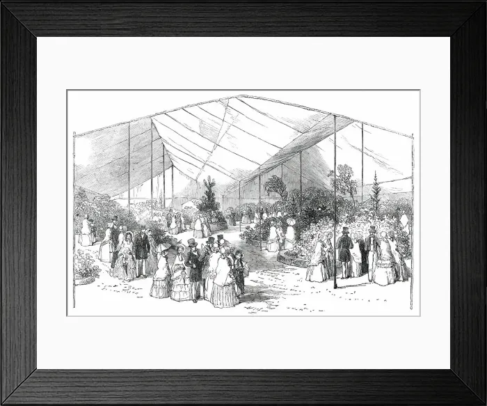 Framed Print : Exhibition of American Plants at the Royal Botanical Society's Gardens, Regent's-Park, 1850. Creator: Unknown Framed Print : Exhibition of American Plants at the Royal Botanical Society's Gardens, Regent's-Park, 1850. Creator: Unknown