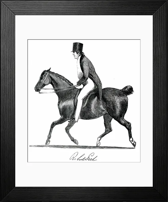 Framed Print : Robert Peel, 1850. Creator: Unknown