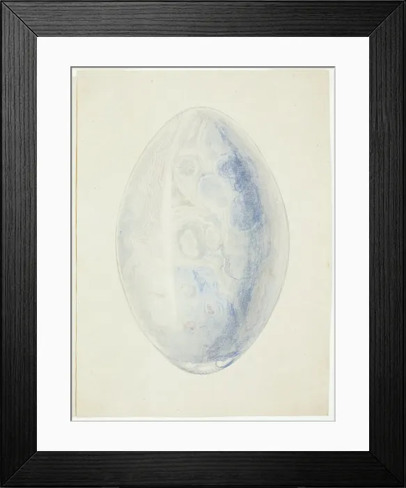 Framed Print : Overview of Oval Shell Stone, n.d. Creator: Giuseppe Grisoni Framed Print : Overview of Oval Shell Stone, n.d. Creator: Giuseppe Grisoni