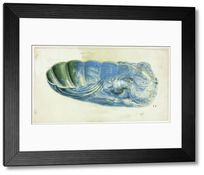 Framed Print : Blue and Green Shell with Dragon's Head, n.d. Creator: Giuseppe Grisoni Framed Print : Blue and Green Shell with Dragon's Head, n.d. Creator: Giuseppe Grisoni