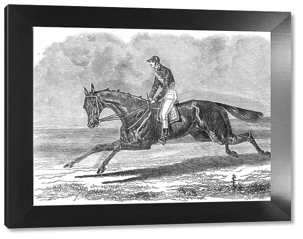 Rhedycina, Winner of the Oaks Stakes, at Epsom, 1850. Creator: Unknown