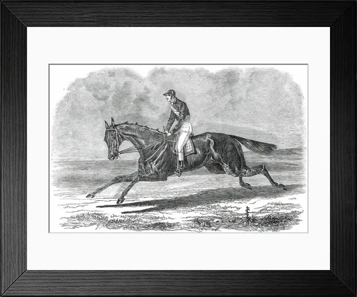 Framed Print : Rhedycina, Winner of the Oaks Stakes, at Epsom, 1850. Creator: Unknown Framed Print : Rhedycina, Winner of the Oaks Stakes, at Epsom, 1850. Creator: Unknown