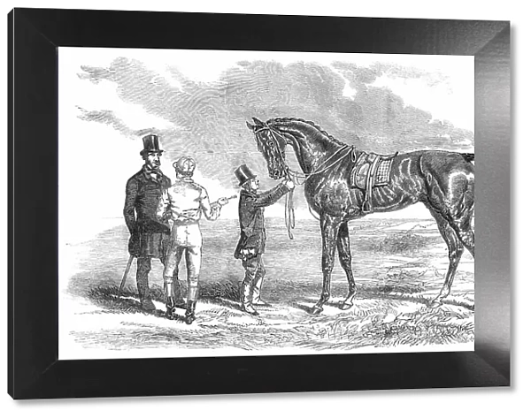 Wanota, Winner of the Ascot Stakes, 1850. Creator: Unknown