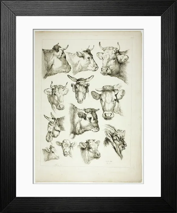 Framed Print : Plate 35 of 38 from Oeuvres de J. B. Huet, 1796–99. Creator: Jean Baptiste Marie Huet Framed Print : Plate 35 of 38 from Oeuvres de J. B. Huet, 1796–99. Creator: Jean Baptiste Marie Huet