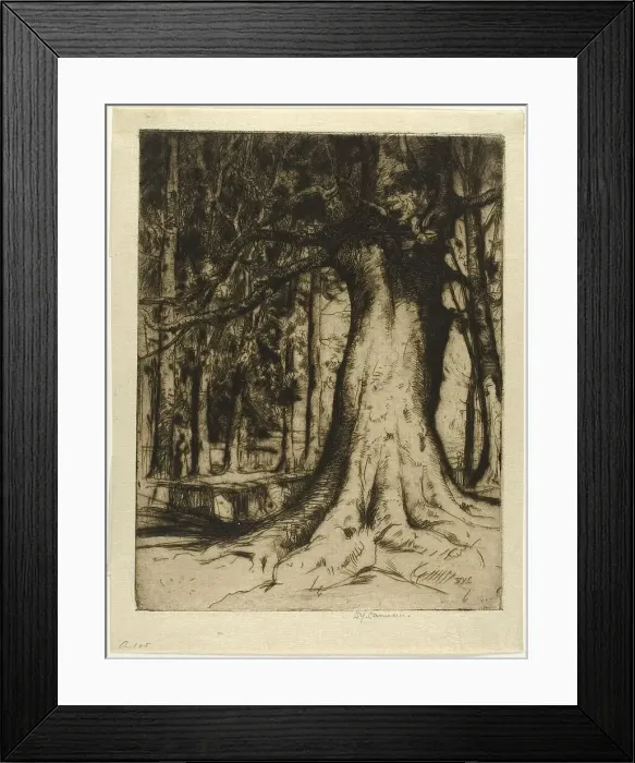 Framed Print : The Sycamore, 1905. Creator: David Young Cameron Framed Print : The Sycamore, 1905. Creator: David Young Cameron