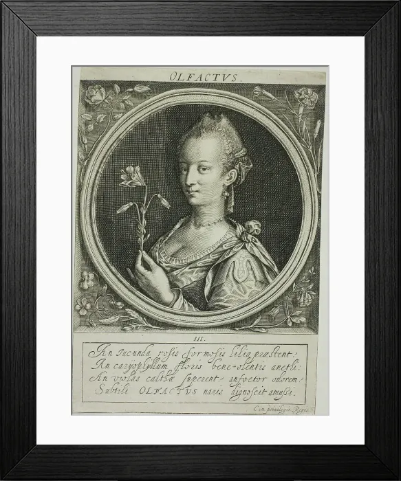 Framed Print : Smell, plate three from The Five Senses, n.d. Creator: Jacob van der Heyden Framed Print : Smell, plate three from The Five Senses, n.d. Creator: Jacob van der Heyden