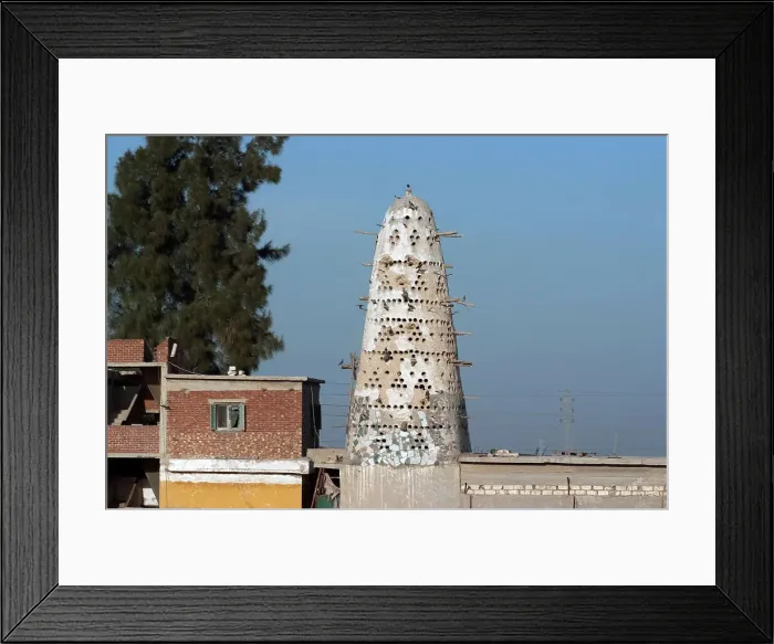 Framed Print : Dove Cots, Near Alexandria, Egypt, 2007. Creator: Ethel Davies Framed Print : Dove Cots, Near Alexandria, Egypt, 2007. Creator: Ethel Davies