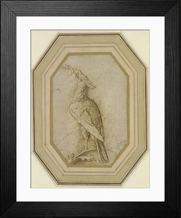 Framed Print : Bird on a Branch, ca. 1470-1480. Creator: Mantegna, Andrea (1431-1506) Framed Print : Bird on a Branch, ca. 1470-1480. Creator: Mantegna, Andrea (1431-1506)