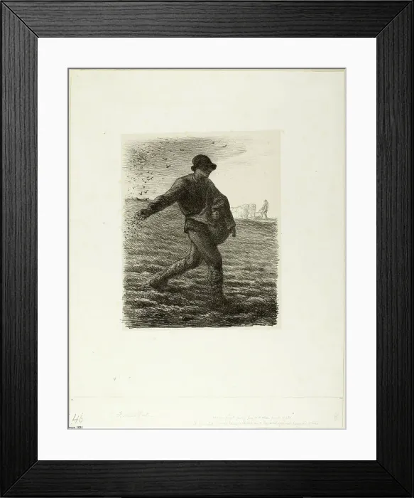 Framed Print : The Sower, 1851. Creator: Jean Francois Millet Framed Print : The Sower, 1851. Creator: Jean Francois Millet