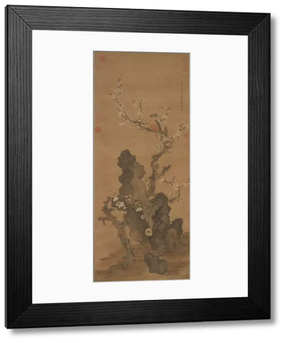 Framed Print : Plum Blossoms and Wild Bird, 17th century. Creator: Chen Hongshou (1599-1652) Framed Print : Plum Blossoms and Wild Bird, 17th century. Creator: Chen Hongshou (1599-1652)