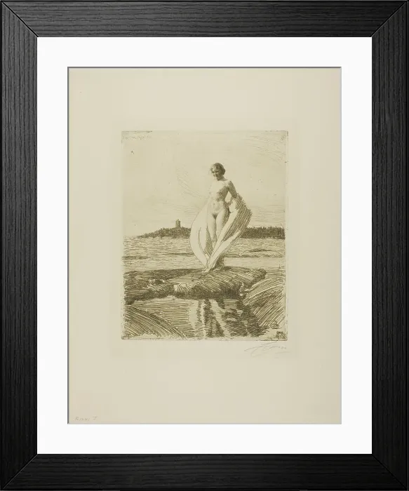 Framed Print : The Swan, 1915. Creator: Anders Leonard Zorn Framed Print : The Swan, 1915. Creator: Anders Leonard Zorn