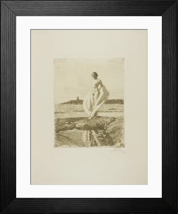 Framed Print : The Swan, 1915. Creator: Anders Leonard Zorn Framed Print : The Swan, 1915. Creator: Anders Leonard Zorn