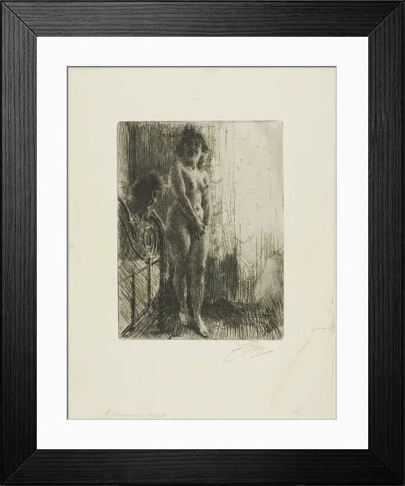 Framed Print : A Dark Corner, 1903. Creator: Anders Leonard Zorn Framed Print : A Dark Corner, 1903. Creator: Anders Leonard Zorn