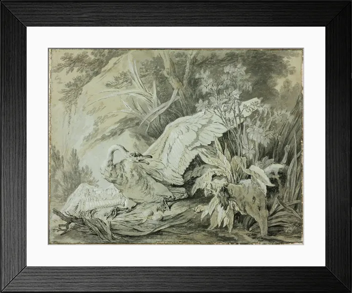 Framed Print : A Wild Swan Attacked by a Dog, c. 1740. Creator: Jean-Baptiste Oudry Framed Print : A Wild Swan Attacked by a Dog, c. 1740. Creator: Jean-Baptiste Oudry