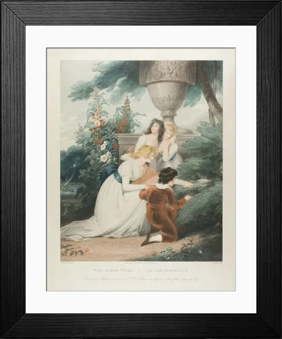 Framed Print : The Bird's Nest, n.d. Creator: Charles Knight Framed Print : The Bird's Nest, n.d. Creator: Charles Knight