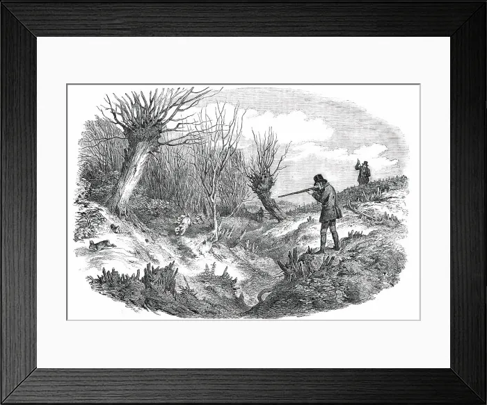 Framed Print : Rabbit-Shooting near Tunbridge - drawn by Duncan, 1850. Creator: Unknown Framed Print : Rabbit-Shooting near Tunbridge - drawn by Duncan, 1850. Creator: Unknown