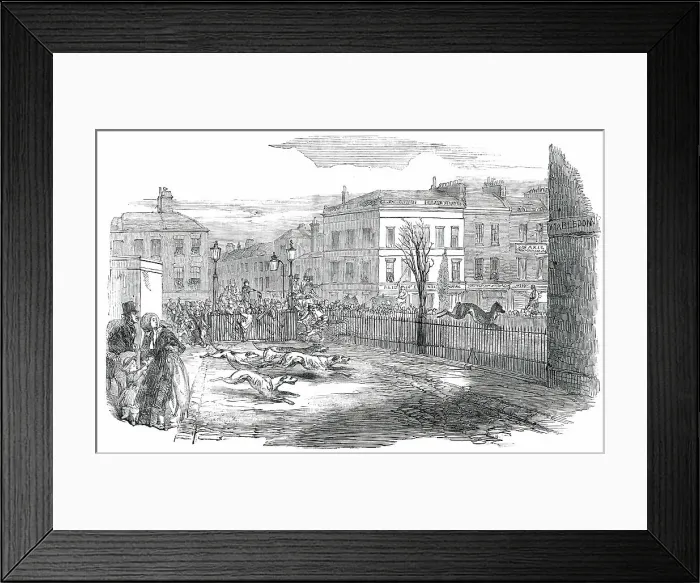 Framed Print : Stag Hunt in the New-Road on Tuesday, 1850. Creator: Unknown Framed Print : Stag Hunt in the New-Road on Tuesday, 1850. Creator: Unknown