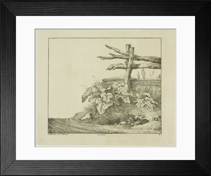 Framed Print : Landscape with Flora and Rustic Fence near Roadside, n.d. Creator: Lorenz Ekemann Alesson Framed Print : Landscape with Flora and Rustic Fence near Roadside, n.d. Creator: Lorenz Ekemann Alesson