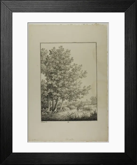 Framed Print : Plate 30 from Blatt Baum und Landschafts Studien, c.1810. Creator: Lorenz Ekemann Alesson Framed Print : Plate 30 from Blatt Baum und Landschafts Studien, c.1810. Creator: Lorenz Ekemann Alesson