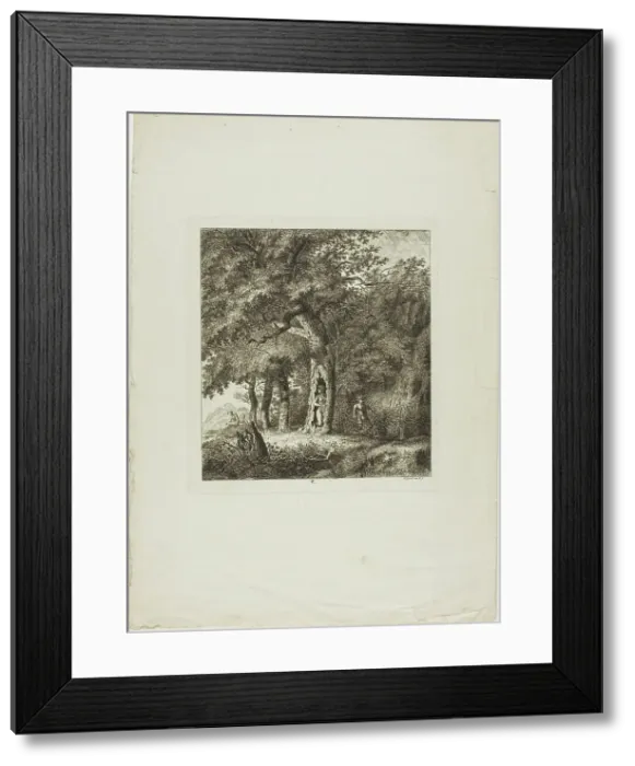 Framed Print : Nymph Hiding in a Tree, plate eight from Paysages Dédiés à M. Warelet, 1764. Creator: Salomon Gessner Framed Print : Nymph Hiding in a Tree, plate eight from Paysages Dédiés à M. Warelet, 1764. Creator: Salomon Gessner