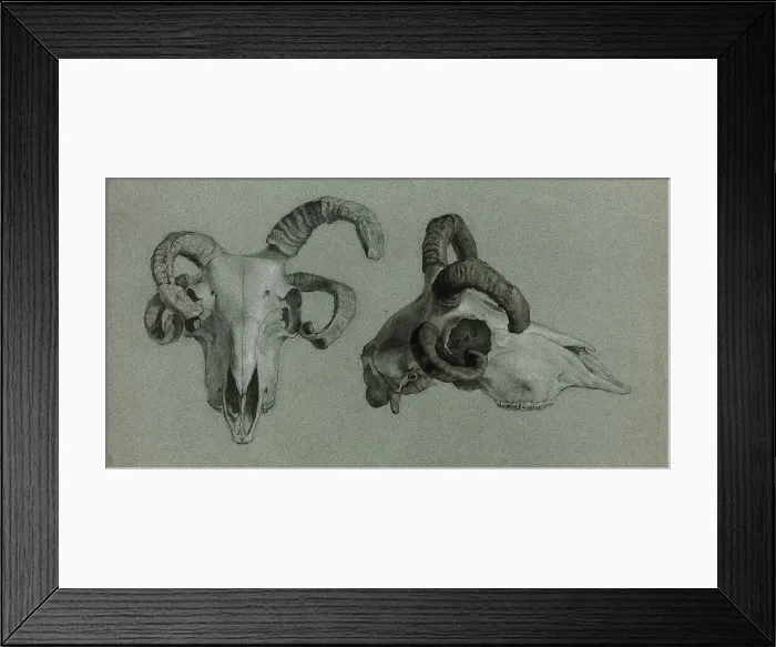 Framed Print : Rams Skulls, n.d. Creator: George Hayter Framed Print : Rams Skulls, n.d. Creator: George Hayter