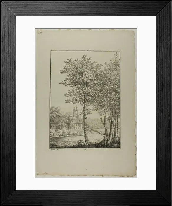 Framed Print : Plate 31 from Blatt Baum und Landschafts Studien, c.1810. Creator: Lorenz Ekemann Alesson Framed Print : Plate 31 from Blatt Baum und Landschafts Studien, c.1810. Creator: Lorenz Ekemann Alesson