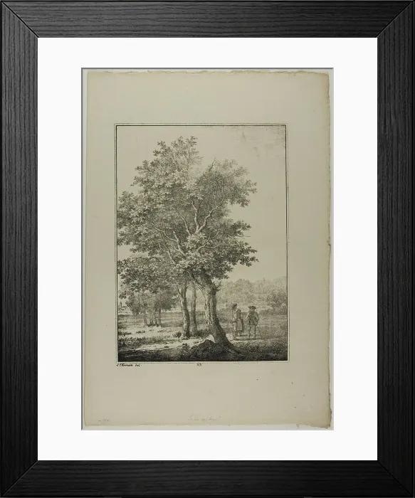 Framed Print : Plate 33 from Blatt Baum und Landschafts Studien, c.1810. Creator: Lorenz Ekemann Alesson Framed Print : Plate 33 from Blatt Baum und Landschafts Studien, c.1810. Creator: Lorenz Ekemann Alesson