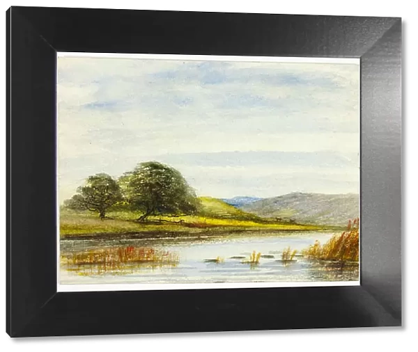 Marshy Landscape, 1800-1899. Creator: Unknown