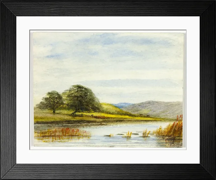 Framed Print : Marshy Landscape, 1800-1899. Creator: Unknown Framed Print : Marshy Landscape, 1800-1899. Creator: Unknown