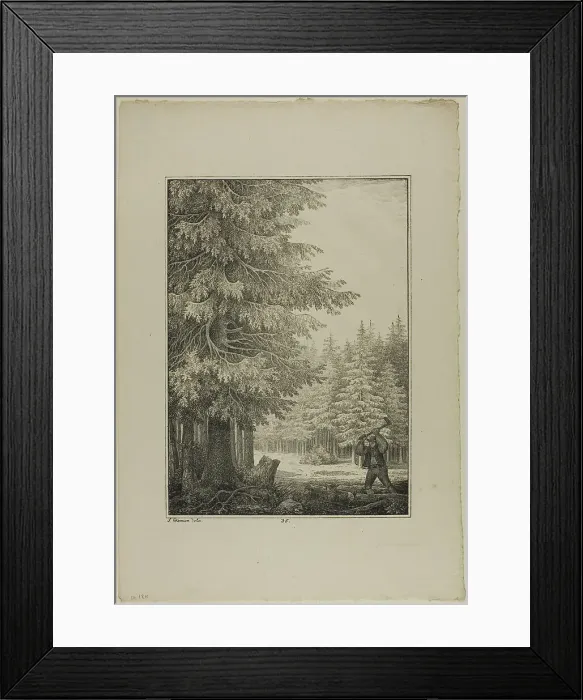 Framed Print : Plate 35 from Blatt Baum und Landschafts Studien, c.1810. Creator: Lorenz Ekemann Alesson Framed Print : Plate 35 from Blatt Baum und Landschafts Studien, c.1810. Creator: Lorenz Ekemann Alesson