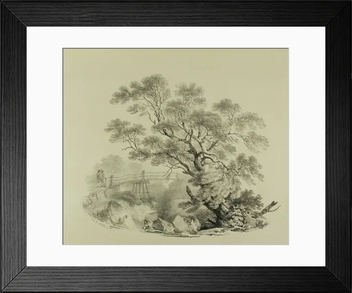 Framed Print : Tree and Footbridge, 1820. Creator: Francis Nicholson Framed Print : Tree and Footbridge, 1820. Creator: Francis Nicholson