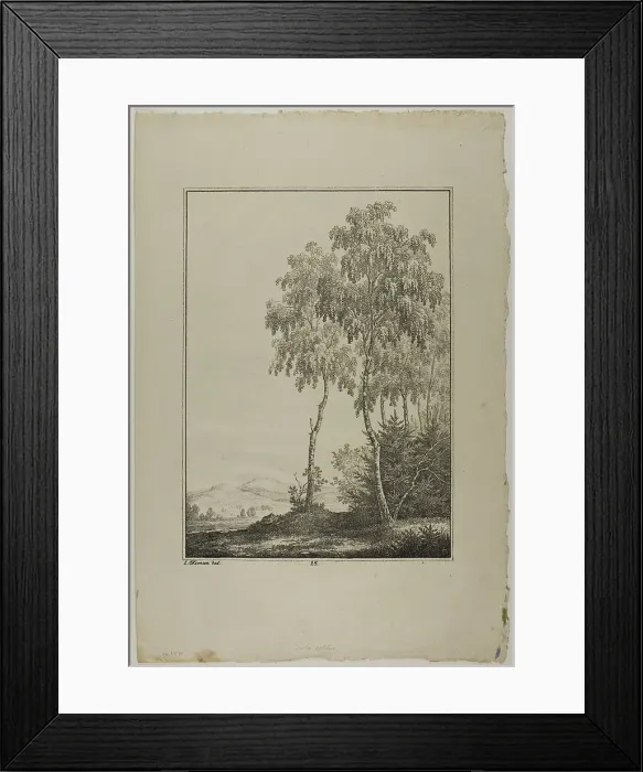 Framed Print : Plate 25 from Blatt Baum und Landschafts Studien, c.1810. Creator: Lorenz Ekemann Alesson Framed Print : Plate 25 from Blatt Baum und Landschafts Studien, c.1810. Creator: Lorenz Ekemann Alesson