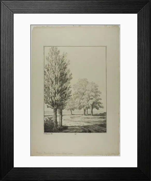 Framed Print : Plate 26 from Blatt Baum und Landschafts Studien, c.1810. Creator: Lorenz Ekemann Alesson Framed Print : Plate 26 from Blatt Baum und Landschafts Studien, c.1810. Creator: Lorenz Ekemann Alesson