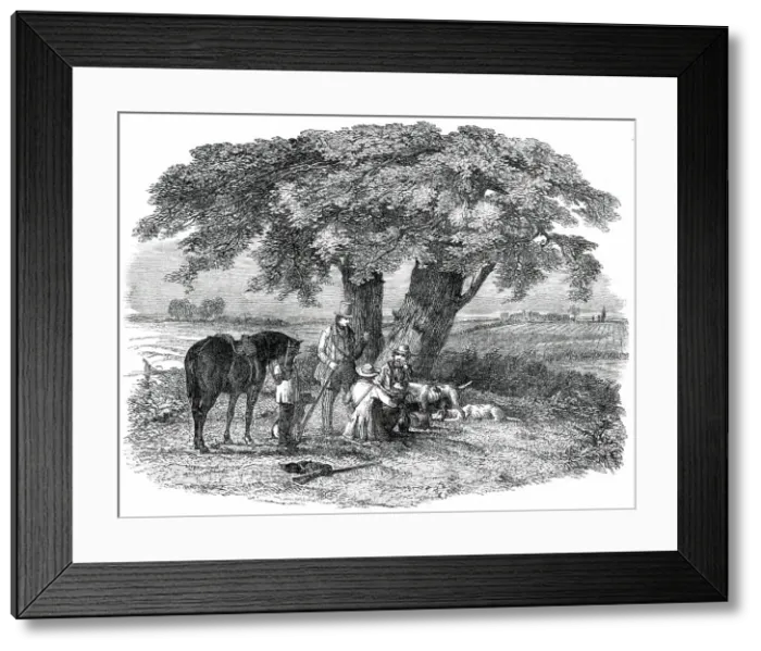 Framed Print : The First of September - the Luncheon - drawn by Duncan, 1850. Creator: Unknown Framed Print : The First of September - the Luncheon - drawn by Duncan, 1850. Creator: Unknown