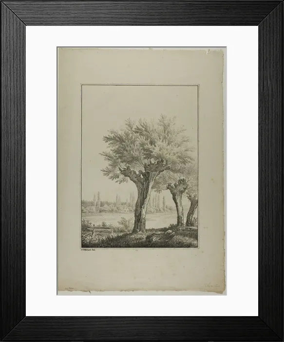 Framed Print : Plate 27 from Blatt Baum und Landschafts Studien, c.1810. Creator: Lorenz Ekemann Alesson Framed Print : Plate 27 from Blatt Baum und Landschafts Studien, c.1810. Creator: Lorenz Ekemann Alesson