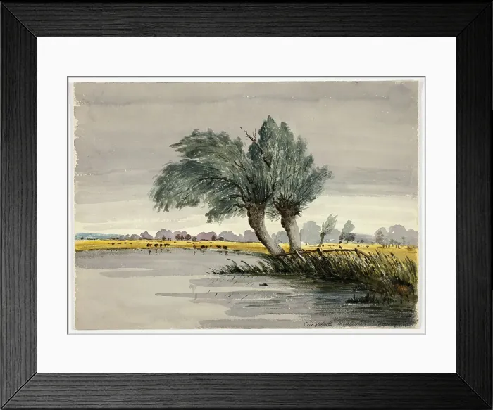 Framed Print : Cringleford Meadows-Morning, n.d. Creator: Unknown Framed Print : Cringleford Meadows-Morning, n.d. Creator: Unknown