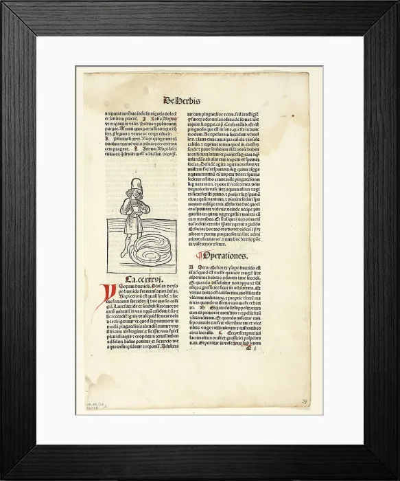 Framed Print : Man purging fluid from lungs (recto) and Plant for abdominal pain (verso)...1491... assembled 1929 Creators: Unknown, Jacob Meydenbach, Wilhelm Ludwig Schreiber Framed Print : Man purging fluid from lungs (recto) and Plant for abdominal pain (verso)...1491... assembled 1929 Creators: Unknown, Jacob Meydenbach, Wilhelm Ludwig Schreiber
