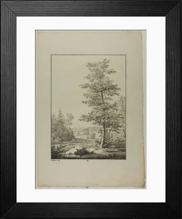 Framed Print : Plate 29 from Blatt Baum und Landschafts Studien, c.1810. Creator: Lorenz Ekemann Alesson Framed Print : Plate 29 from Blatt Baum und Landschafts Studien, c.1810. Creator: Lorenz Ekemann Alesson