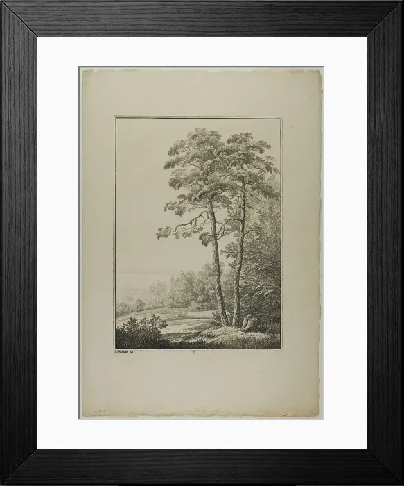 Framed Print : Plate 28 from Blatt Baum und Landschafts Studien, c.1810. Creator: Lorenz Ekemann Alesson Framed Print : Plate 28 from Blatt Baum und Landschafts Studien, c.1810. Creator: Lorenz Ekemann Alesson