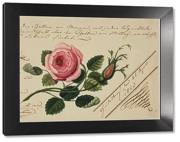 Untitled Valentine (Pink Flower), 1825. Creator: Unknown