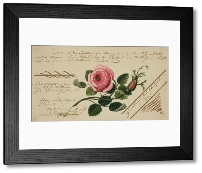 Framed Print : Untitled Valentine (Pink Flower), 1825. Creator: Unknown Framed Print : Untitled Valentine (Pink Flower), 1825. Creator: Unknown