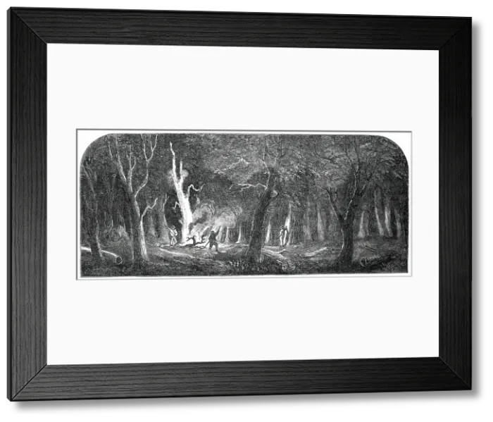 Framed Print : Panorama of the Ohio - Clearing a Forest, 1850. Creator: Unknown Framed Print : Panorama of the Ohio - Clearing a Forest, 1850. Creator: Unknown