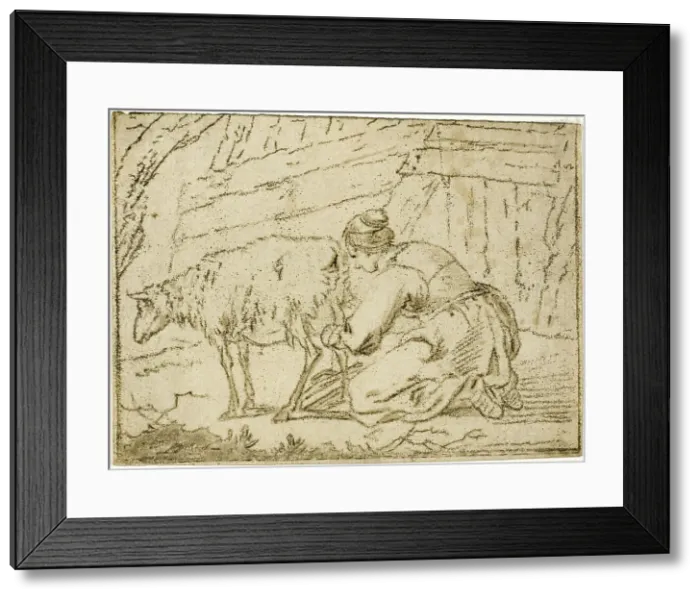Framed Print : Woman Milking an Ewe, n.d. Creator: Cornelis van Noorde Framed Print : Woman Milking an Ewe, n.d. Creator: Cornelis van Noorde