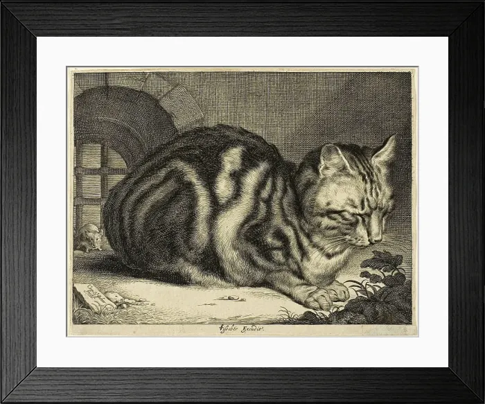 Framed Print : The Large Cat, 1657. Creator: Cornelis de Visscher